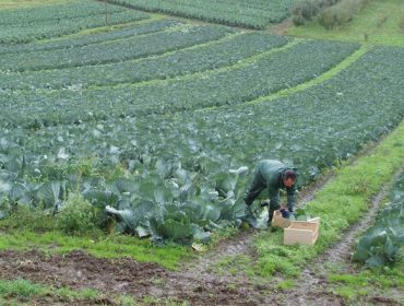 Denuncian el cobro indebido de cuotas de la Seguridad Social a agricultores de baja
