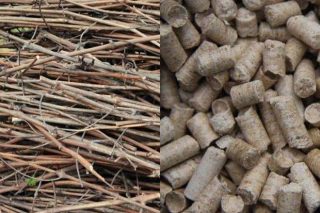 Un proyecto aborda el uso de restos de poda y matorral para biocombustibles