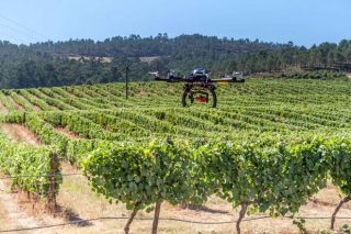 Lugo acogerá un simposio sobre el uso de drones y satélites en agricultura
