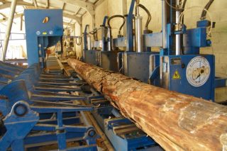 La cadena de la madera logra un nuevo récord en exportaciones