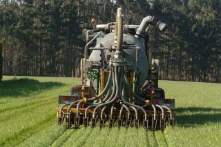 ¿Cómo mejorar los cultivos de maíz y hierba con un uso más eficiente del nitrógeno?