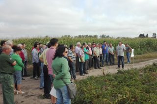 Jornada en A Limia sobre avances en fertilización eficiente del cultivo de la patata