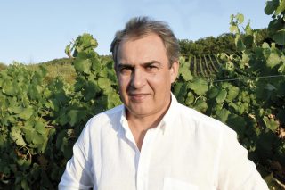 La vendimia en Valdeorras finaliza con un 15% más de uva