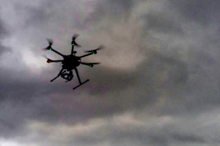 Drones pastores para controlar el ganado