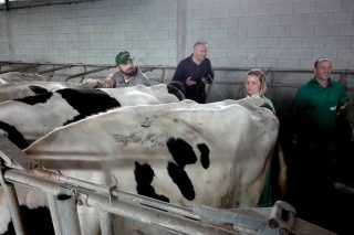 Mazaricos imparte por primera vez un curso de inseminación de vacas