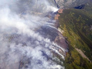 ¿Cómo evaluar las acciones a tomar para paliar los daños que provoca el fuego en el monte?