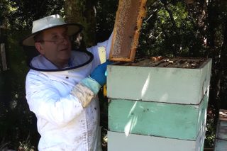 “El apicultor tiene que diversificar: además de la miel, el polen o el propóleo son muy demandados”