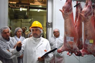 Primeros pasos para aprovechar el gran potencial de mercado del cordero y el cabrito de Galicia