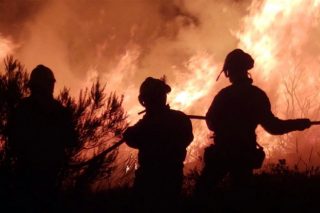 Cursos en extinción de incendios y en aspectos de la industria forestal