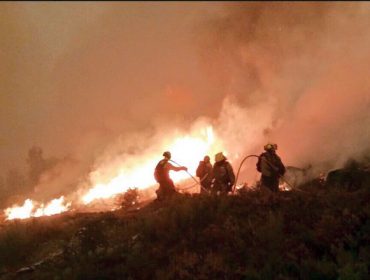 Inditex es la primera empresa en sumarse al fondo creado por la Xunta para prevención de incendios forestales