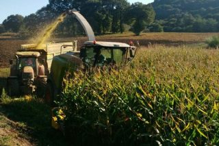 Mouriscade prueba una tecnología de ensilado que mejoraría la rentabilidad de las granjas