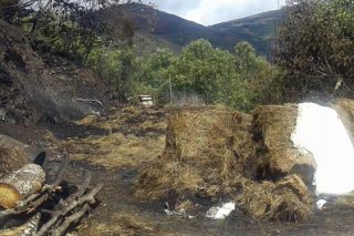 Campaña de Agromuralla para donar forraje y recursos a las ganaderías afectadas por los incendios