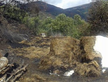 La Xunta destinará 4 millones en ayudas a agricultores y ganaderos afectados por los incendios