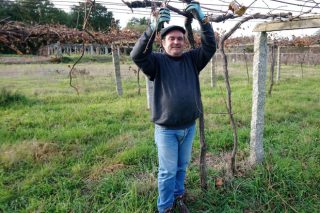 Roberto Rivas es reelegido presidente de la Asociación Galega de Viticultura