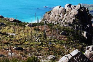 La Organización Galega de Comunidades de Montes prepara propuestas para la gestión de los montes vecinales