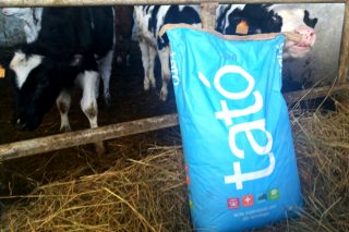 Hasta 60 kilos gratis de leche Tató para terneros