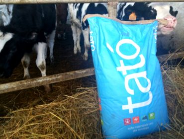 Hasta 60 kilos gratis de leche Tató para terneros