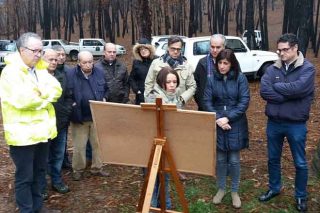 Medio Rural valora la propuesta de un plan de restauración de montes quemados