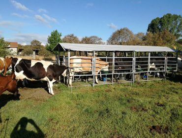 Jornada sobre las ventajas e inconvenientes del monoordeño en vacas de leche