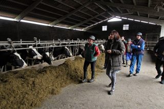 La Xunta solicitará este mes declarar la provincia de Pontevedra como libre de tuberculosis bovina