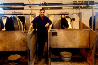 “Solamente el 28% del nitrógeno ingerido por la vaca acaba en la leche, y podemos llegar al 40%”
