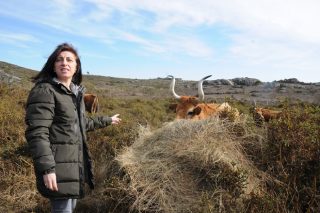 Medio Rural confirma que los ganaderos afectados por los fuegos cobrarán la PAC y podrán hacer pastoreo