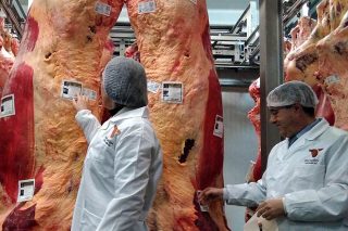 La IGP Vaca e Boi de Galicia certifica las primeras canales de carne