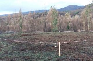 Galicia geocaliza los bienes de interés cultural para gestionar los permisos de tala