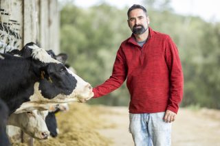 “Al bienestar animal en España le pondría un progresa adecuadamente”
