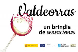“Un brindis de sensaciones”, la nueva imagen de la campaña de los Vinos de Valdeorras