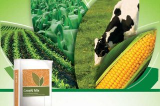 CoteN™ Mix. fertilizantes de liberación controlada para el maíz forrajero
