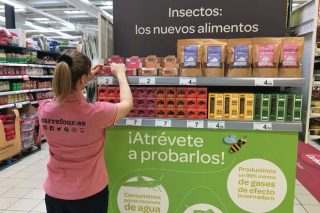 Lanzan en España una gama de alimentos a base de insectos