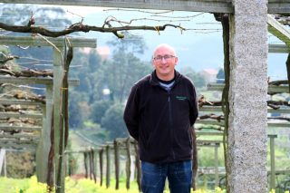 “Tenemos todo por hacer en Galicia en la selección de las variedades autóctonas de viñedo”