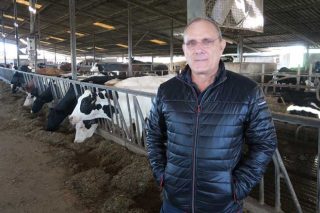 Casal de Quintanelas, cómo doblar el número de vacas sin comprar animales