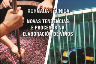 Vinos fermentados en granito o envejecidos en el mar: Jornada de la Evega sobre nuevas tendencias de elaboración