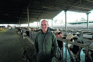Agro-Pecuária Afonso Paisana, una ganadería de referencia en Portugal que cambió de raza para ser rentable