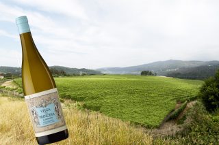 Los secretos de Veiga da Princesa, elegido mejor vino blanco de Galicia 2018