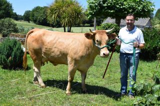 Finca Villadangos: Una ganadería líder en genética de Rubia Gallega
