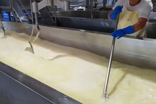 Curso de elaboración de quesos en Lalín