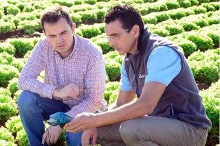 ICL lanza su nuevo catálogo de fertilizantes Agromaster para un abonado preciso