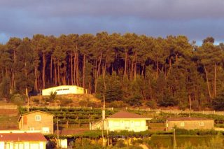 Delimitación de las franjas de gestión de la biomasa en 152 concellos gallegos