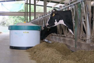 Advierten de un incremento de las deficiencias de minerales en la alimentación del vacuno de leche