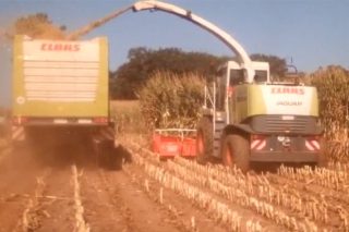 Primeras imágenes del ensilado del maíz en Galicia
