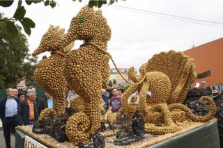 Desfile de tractores, concursos y degustación en la Festa da Pataca de Coristanco
