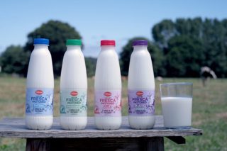 Lidl prevé que las ventas de su leche fresca de pastoreo suban hasta un 30%