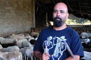 “La Xunta trata al sector ovino y caprino como la oveja negra de la ganadería en Galicia”