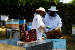 Cosecha de miel: escasa producción en el interior por la sequía e importante presión de la velutina en la costa