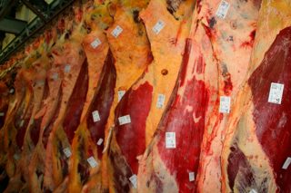 Las cifras del sector de la carne en Galicia