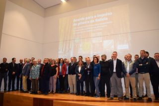 Acuerdo histórico para impulsar la recuperación de los bosques de pino en Galicia