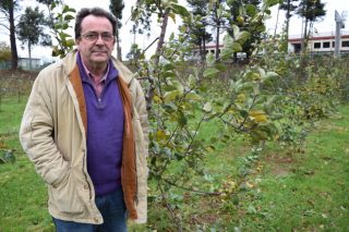 «La manzana de sidra está en auge y puede ser un buen complemento a la renta de mucha gente»